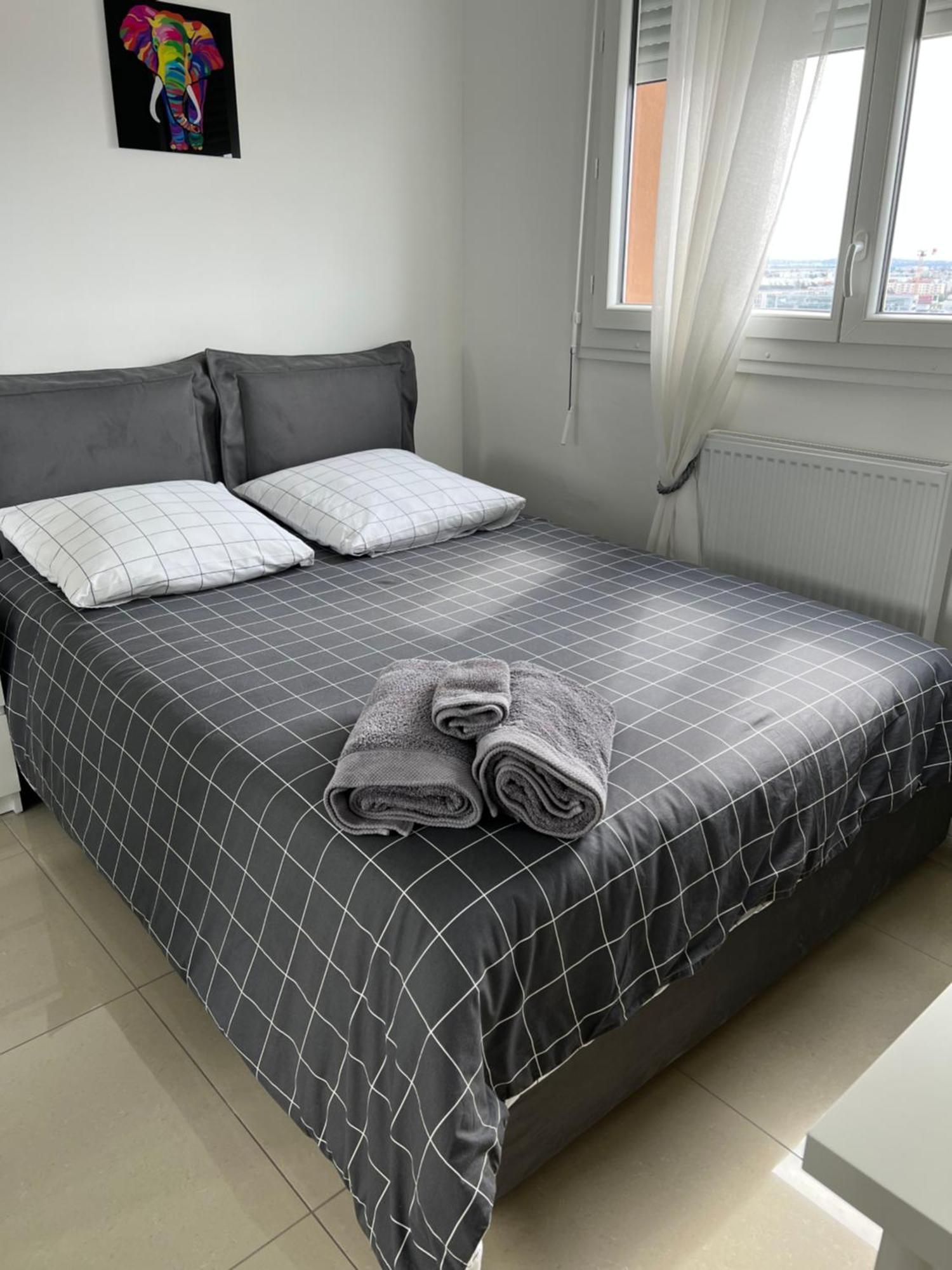 Apartmán Super 4 Pieces Refait A Neuf Villeurbanne Exteriér fotografie